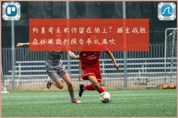 约基奇五犯仍留在场上？掘金战胜森林狼裁判报告承认漏吹